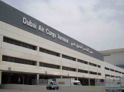 レップジャパン バイヤーズリポートシンガポール1