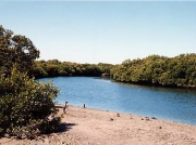 レップジャパン バイヤーズリポートオーストラリア編1