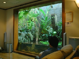 レップジャパンのビバリウム施工例1