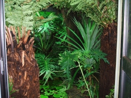 レップジャパンのビバリウム施工例5