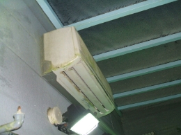 レップジャパンのビバリウム施工例7