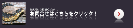 レップジャパンへのお問合せはこちら