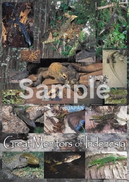 レップジャパンオリジナル爬虫類ポスター2