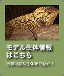 動物プロダクションのモデル生体情報はこちら