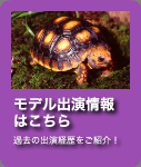 レップジャパン動物プロダクションメディア出演情報