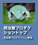 動物プロダクションのご紹介トップページ
