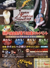 2003年第2回