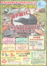 ジャパンレプタイルズショー2014冬レプチラシ