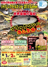 JRS2015Summerのチラシ