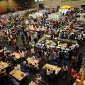 japan reptiles show 09 image