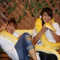 japan reptiles show 09 image