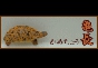 ジャパンレプタイルズショー2013テーブル出展企業