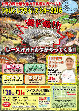 JRS2016Winterのチラシ