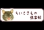 ジャパンレプタイルズショー2017冬レプ出展企業