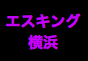 ジャパンレプタイルズショー2017夏レプ出展企業