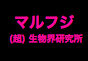 ジャパンレプタイルズショー2018夏レプ出展企業