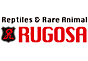 ジャパンレプタイルズショー2019冬レプ出展企業