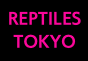 ジャパンレプタイルズショー2024浜レプ出展企業
