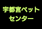 ジャパンレプタイルズショー2025冬レプテーブル出展者