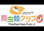 ジャパンレプタイルズショー2025京レプ出展企業