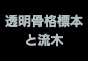 ジャパンレプタイルズショー2025浜レプテーブル出展者