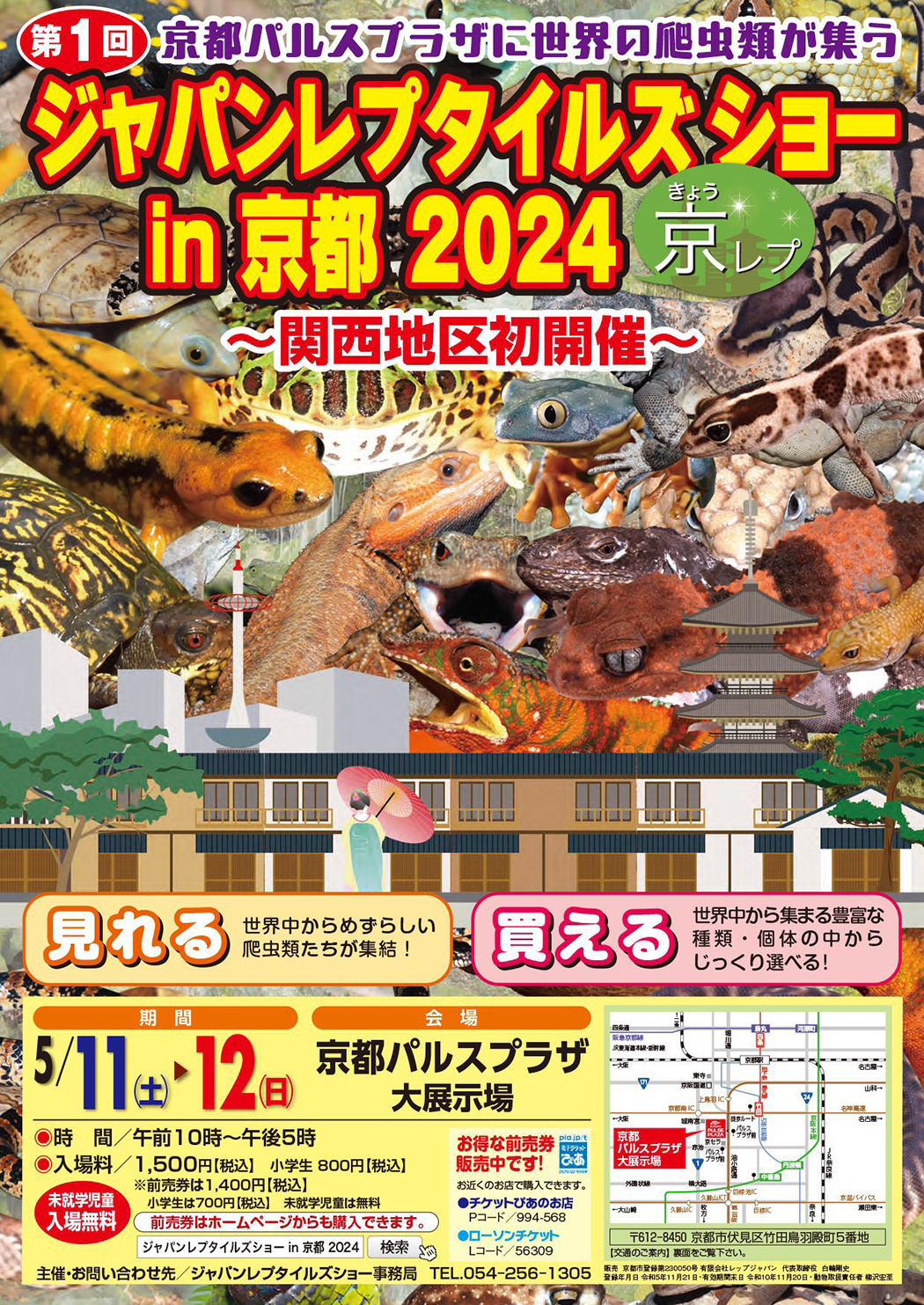 京レプ2024のチラシ
