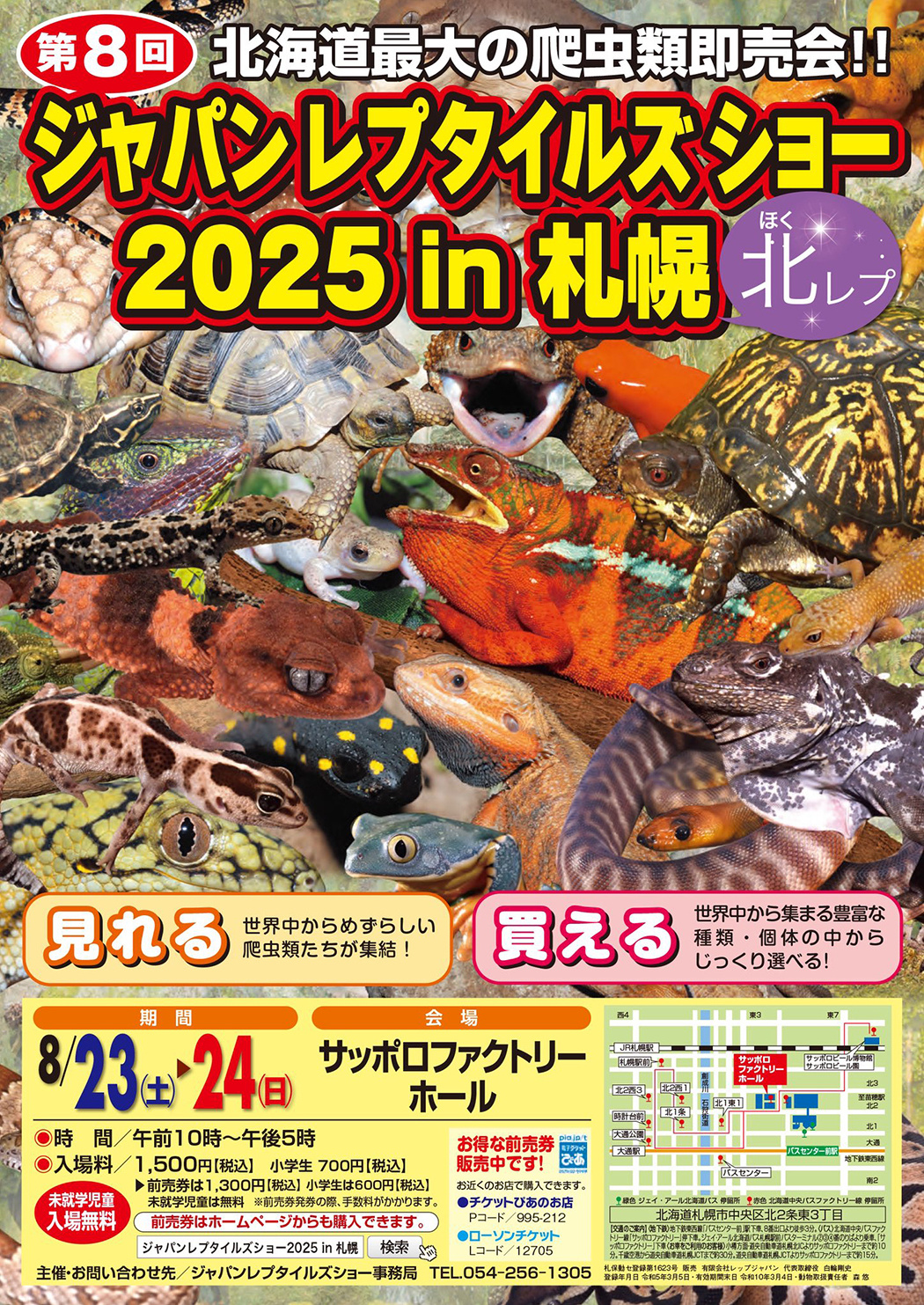 北レプ2025のチラシ
