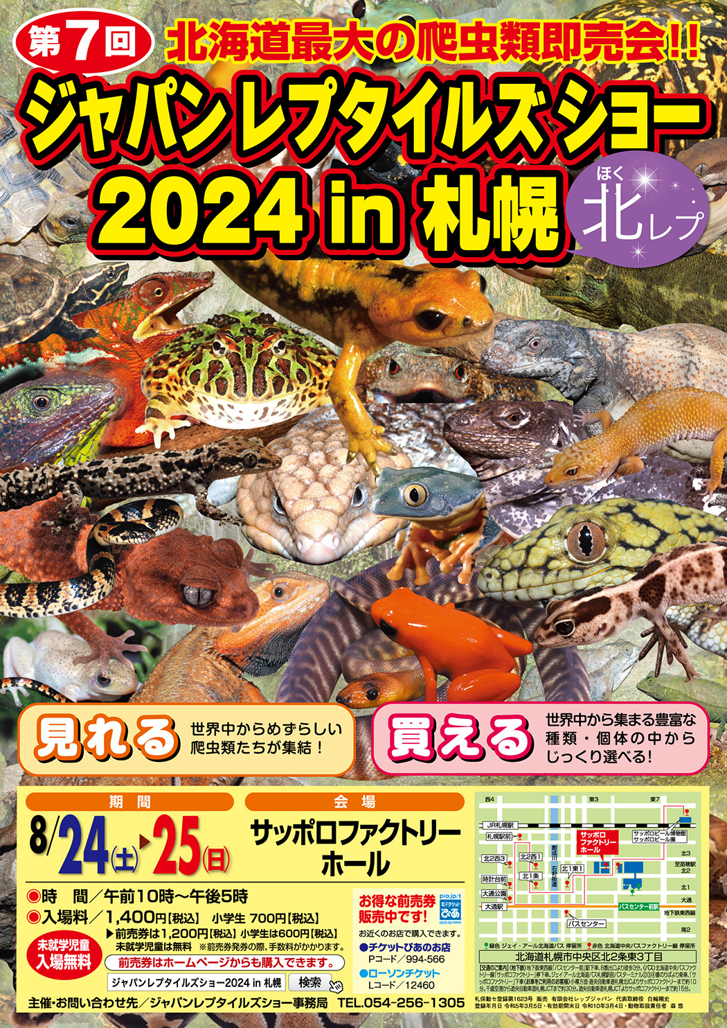 北レプ2024のチラシ