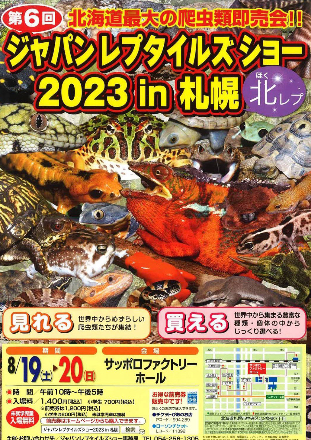 北レプ2023のチラシ