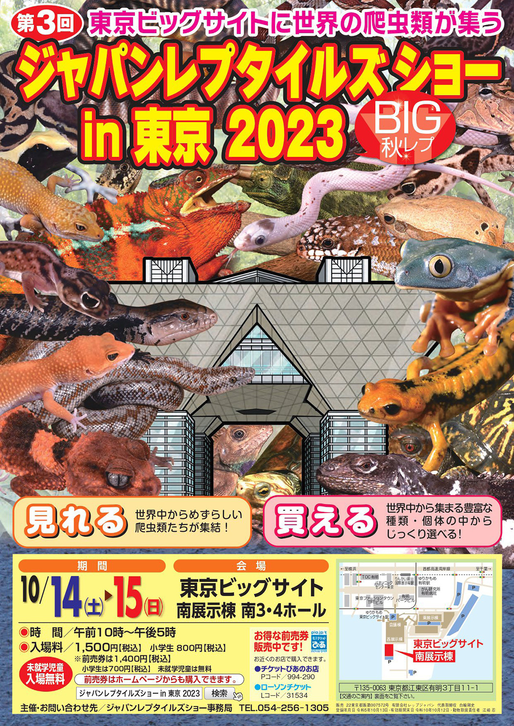 BIGレプ2023秋のチラシ