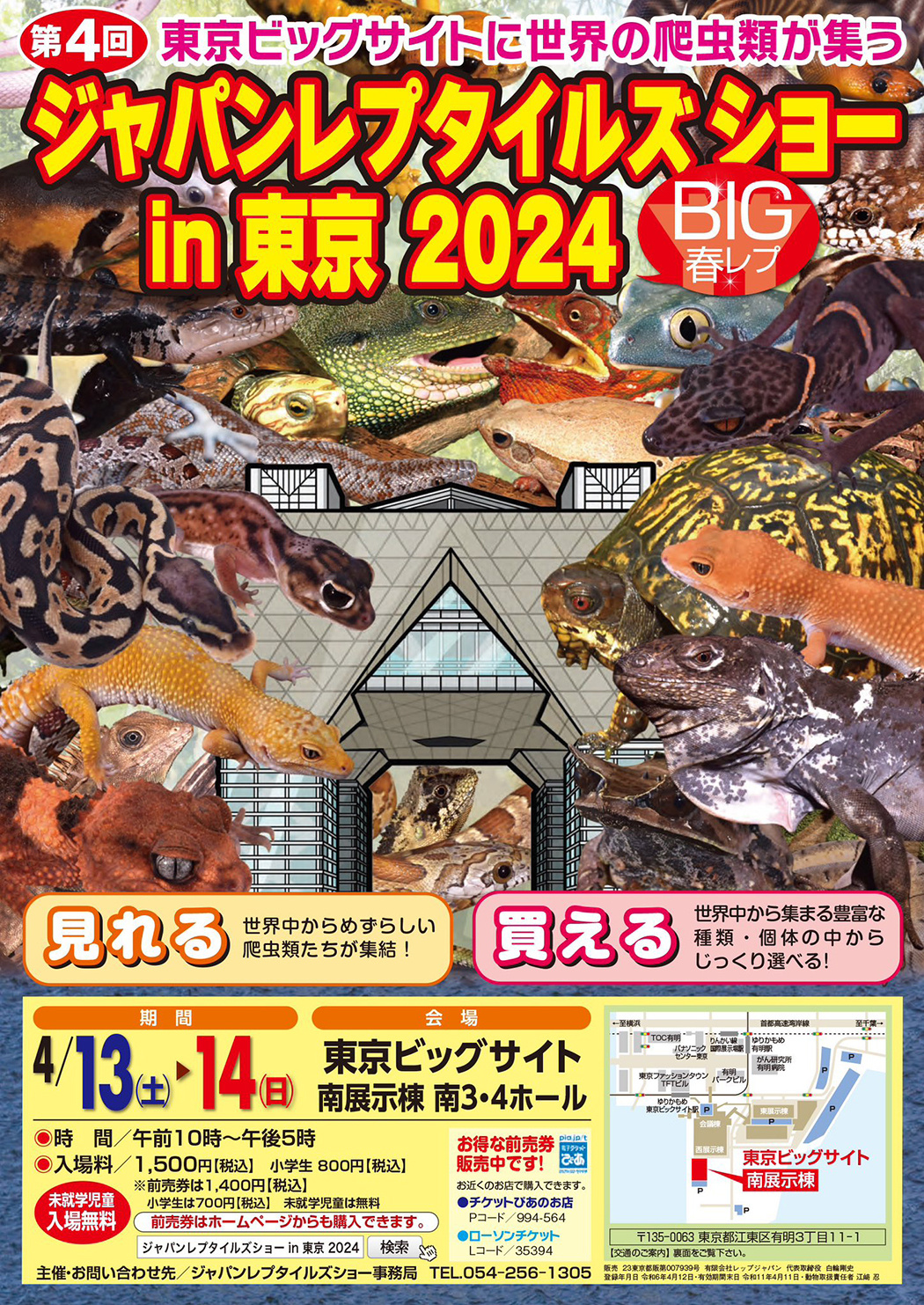 BIGレプ2024春のチラシ