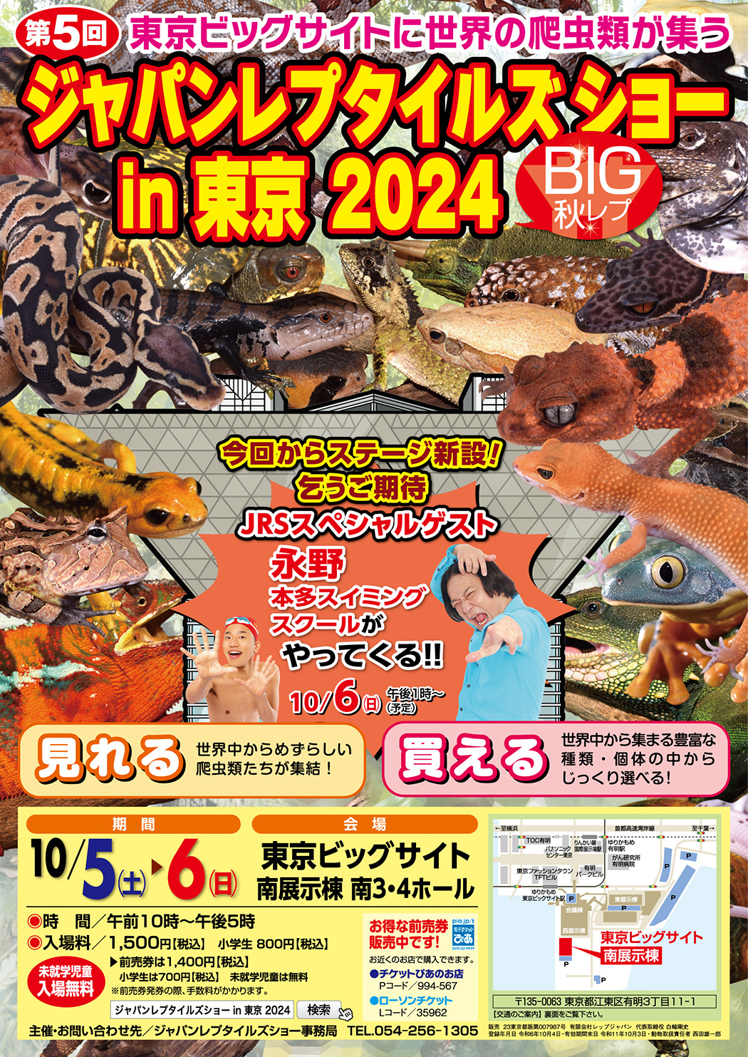 BIGレプ2025秋のチラシ